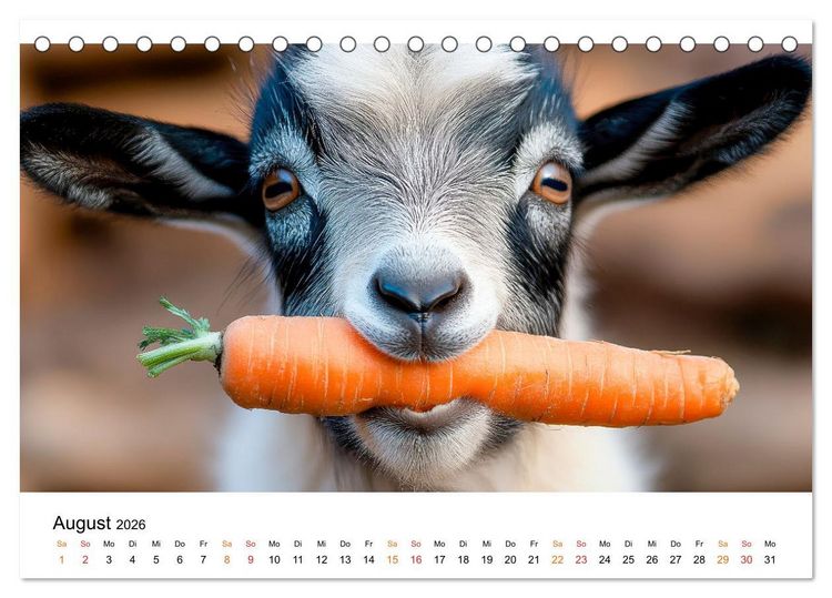 Produktbild: Ziegen - Bocksprung durch das Jahr (Tischkalender 2026 DIN A5 quer), CALVENDO Monatskalender