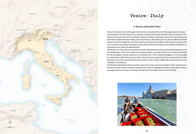 Produktbild: Atlas of urban vineyards