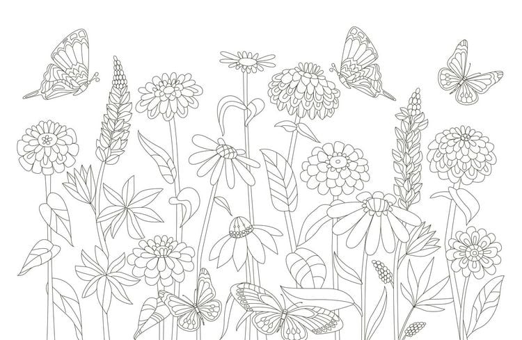 Produktbild: 50 cozy Karten zum Ausmalen &ndash; Blumentraum