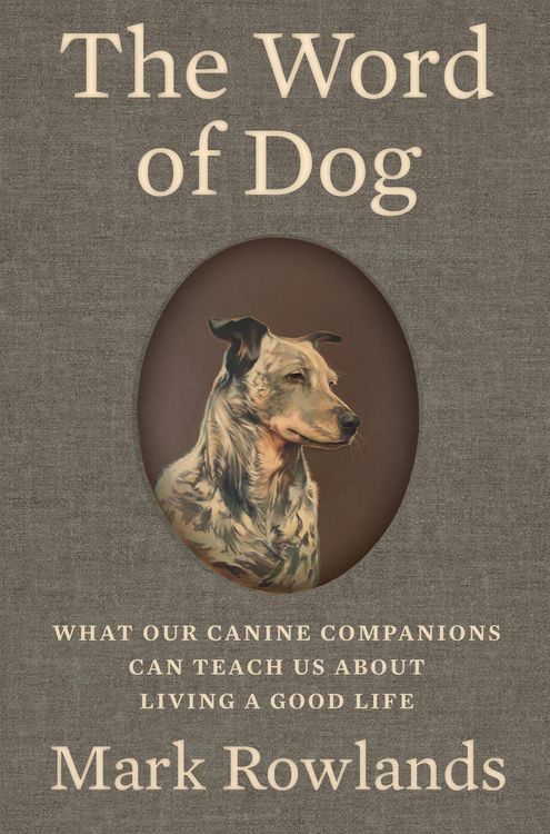 Produktbild: The Word of Dog