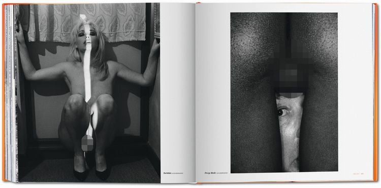 Produktbild: The Big Book of Pussy