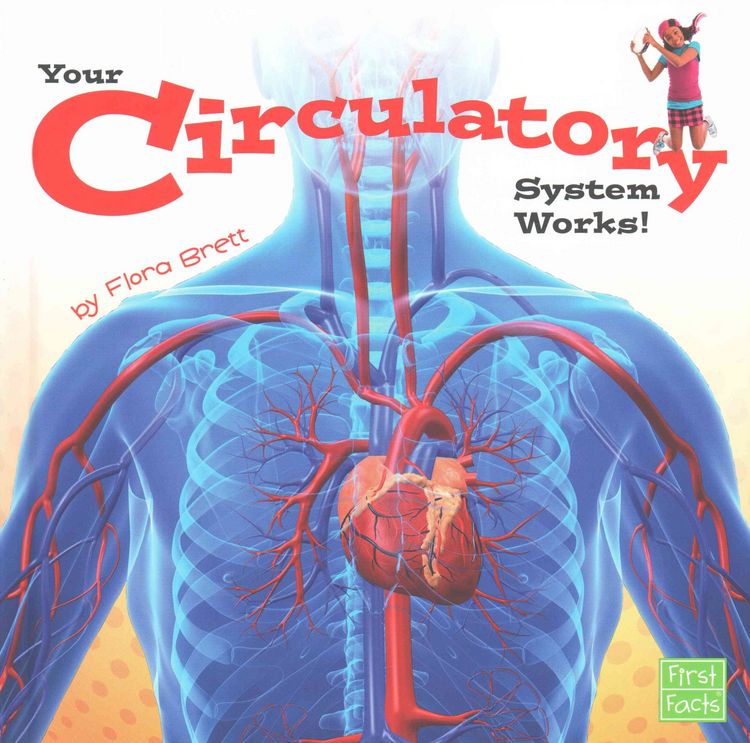 Produktbild: Your Circulatory System Works!