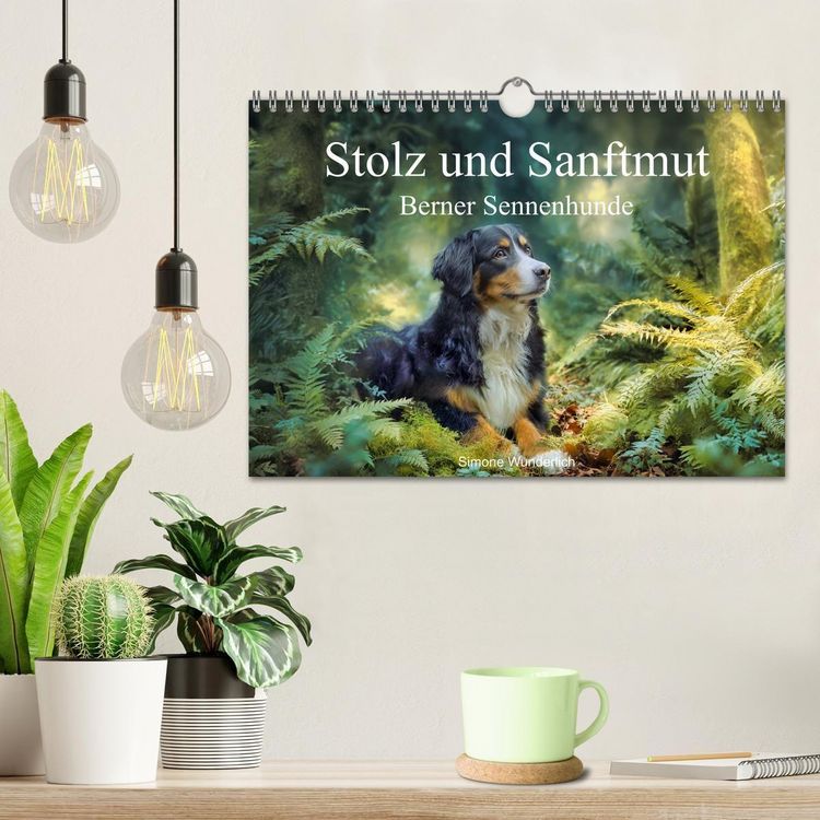 Produktbild: Stolz und Sanftmut - Berner Sennenhunde (Wandkalender 2027 DIN A4 quer), CALVENDO Monatskalender