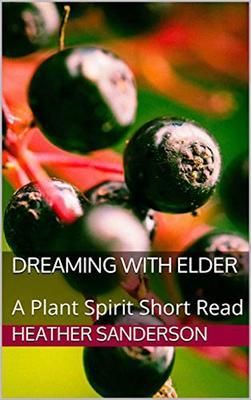 Produktbild: Dreaming with Elder