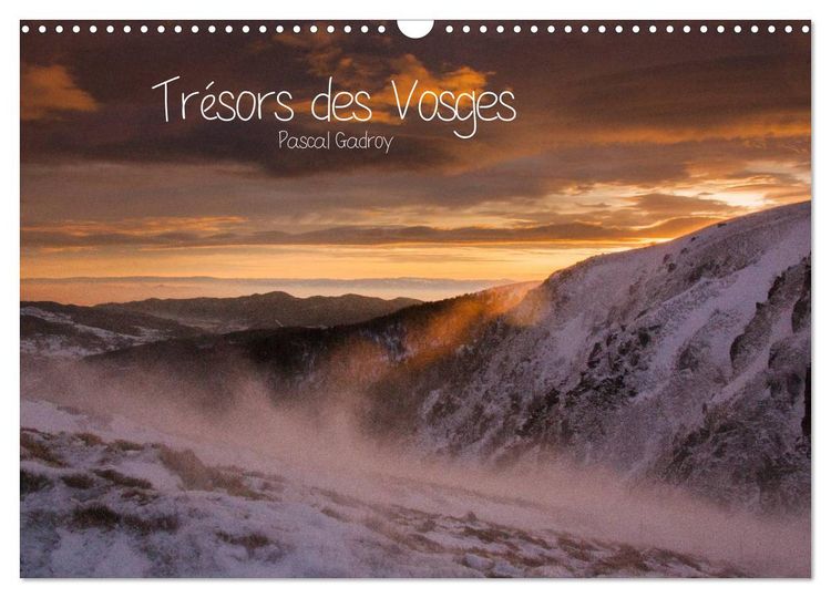 Produktbild: Tr&eacute;sors des Vosges (Calendrier mural 2026 DIN A3 vertical), CALVENDO calendrier mensuel