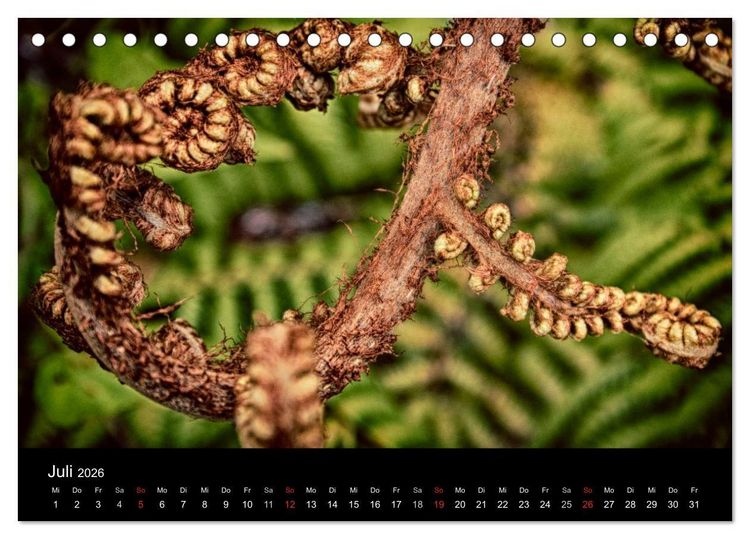 Produktbild: Neuseeland extrem (Tischkalender 2026 DIN A5 quer), CALVENDO Monatskalender