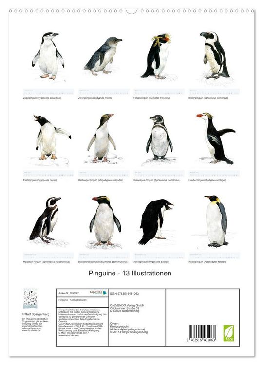 Produktbild: Pinguine - 13 Illustrationen (hochwertiger Premium Wandkalender 2026 DIN A2 hoch), Kunstdruck in Hochglanz