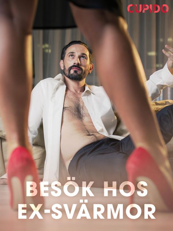 Produktbild: Bes&ouml;k hos ex-sv&auml;rmor