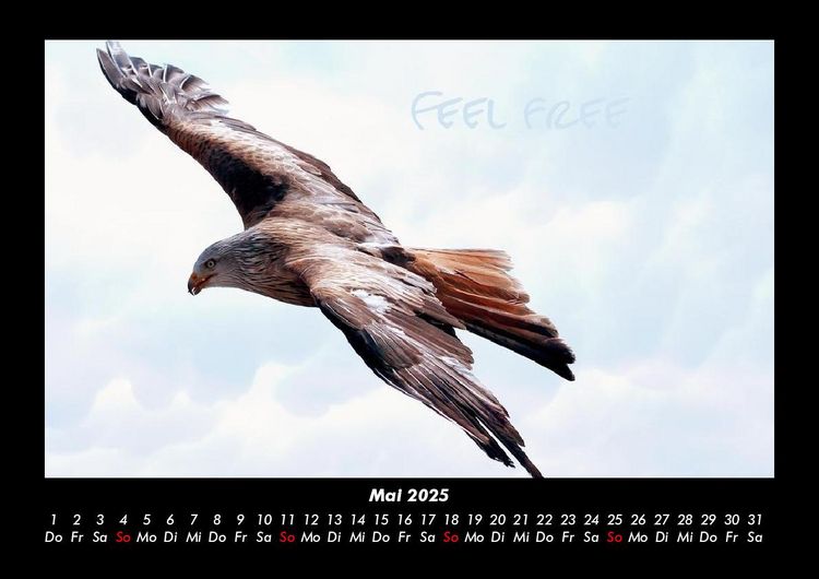 Produktbild: Adler 2025 Fotokalender DIN A3