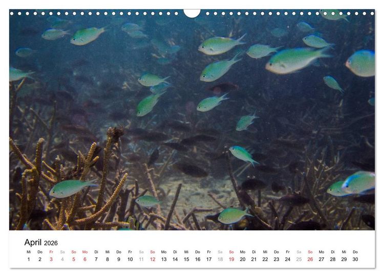 Produktbild: Unterwasserwelt der Malediven III (Wandkalender 2026 DIN A3 quer), CALVENDO Monatskalender