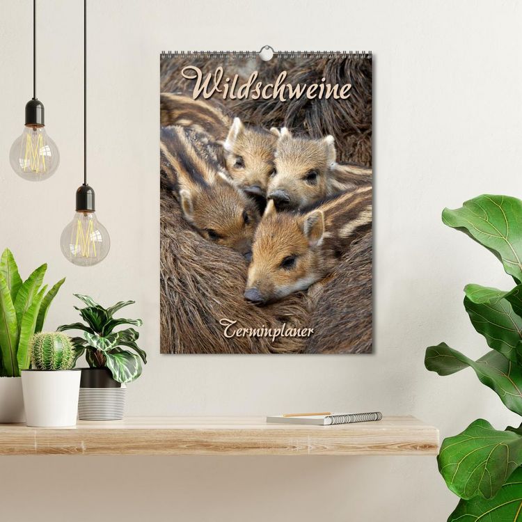 Produktbild: Wildschweine (Wandkalender 2026 DIN A3 hoch), CALVENDO Monatskalender
