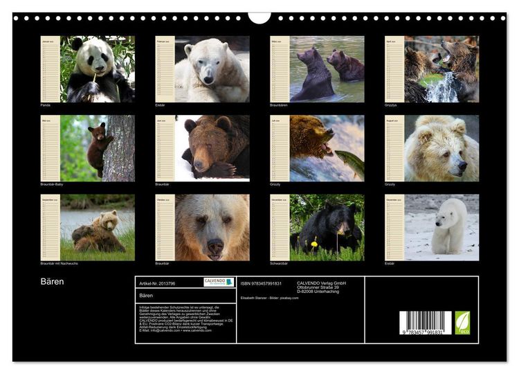 Produktbild: B&auml;ren (Wandkalender 2026 DIN A3 quer), CALVENDO Monatskalender
