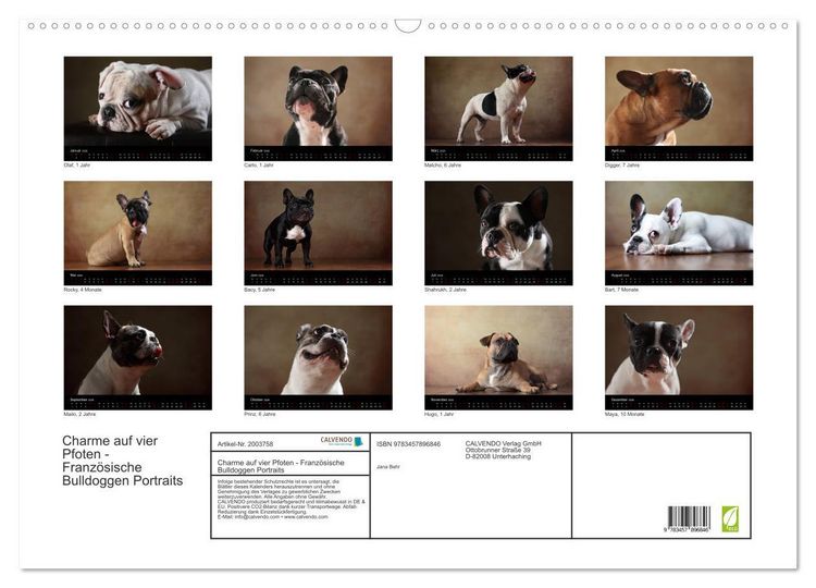 Produktbild: Charme auf vier Pfoten - Franz&ouml;sische Bulldoggen Portraits (Wandkalender 2026 DIN A2 quer), CALVENDO Monatskalender