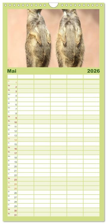 Produktbild: Familienplaner 2026 - Erdm&auml;nnchen mit 5 Spalten (Wandkalender, 21 x 45 cm) CALVENDO