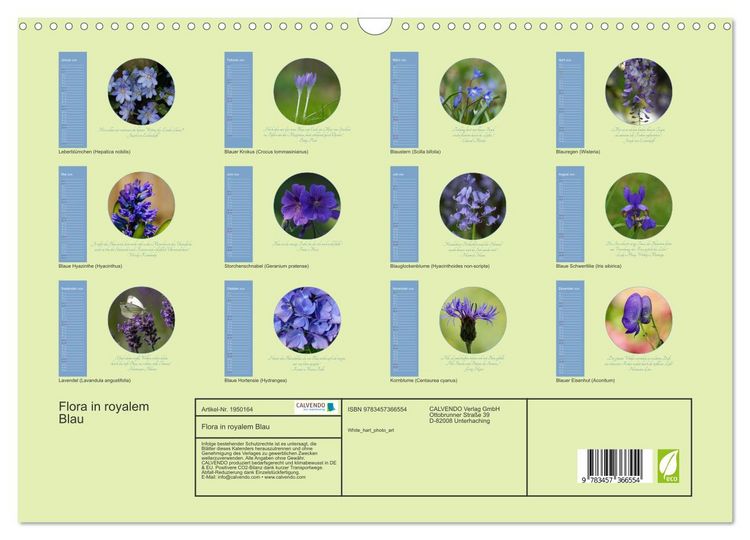 Produktbild: Flora in royalem Blau (Wandkalender 2026 DIN A3 quer), CALVENDO Monatskalender