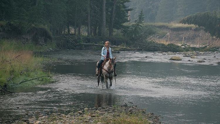 Produktbild: Heartland - Paradies f&uuml;r Pferde: Staffel 9.1 (Episode 1-9) [3 DVDs]