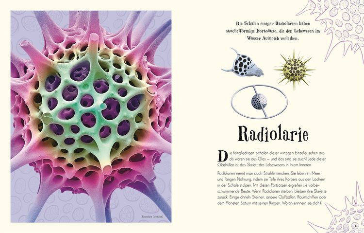 Produktbild: Wundervolle Welt der Natur