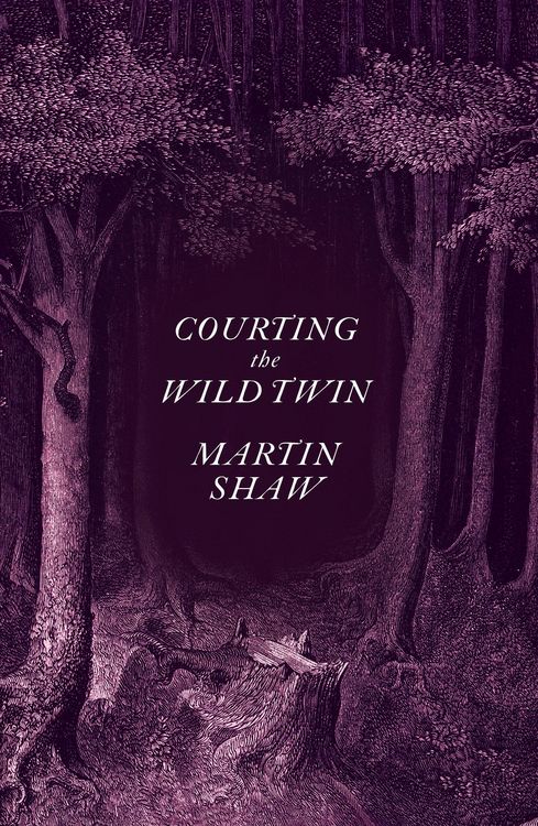 Produktbild: Courting the Wild Twin