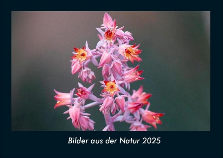 Produktbild: Bilder aus der Natur 2025 Fotokalender DIN A4