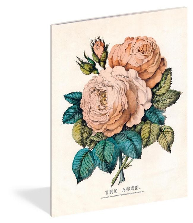 Produktbild: John Derian Paper Goods
