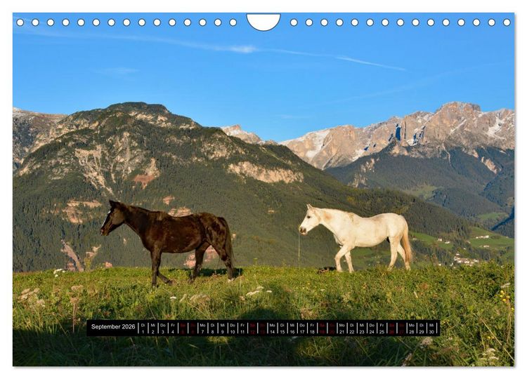 Produktbild: Dolomiten - Latemar und Rosengarten (Wandkalender 2026 DIN A4 quer), CALVENDO Monatskalender