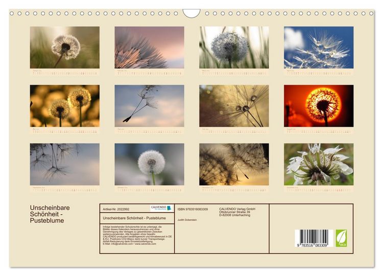 Produktbild: Unscheinbare Sch&ouml;nheit - Pusteblume (Wandkalender 2026 DIN A3 quer), CALVENDO Monatskalender