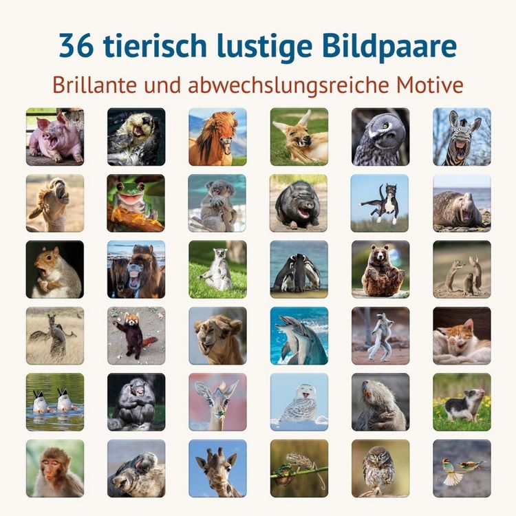 Produktbild: Tierisch Lustig - Memospiel