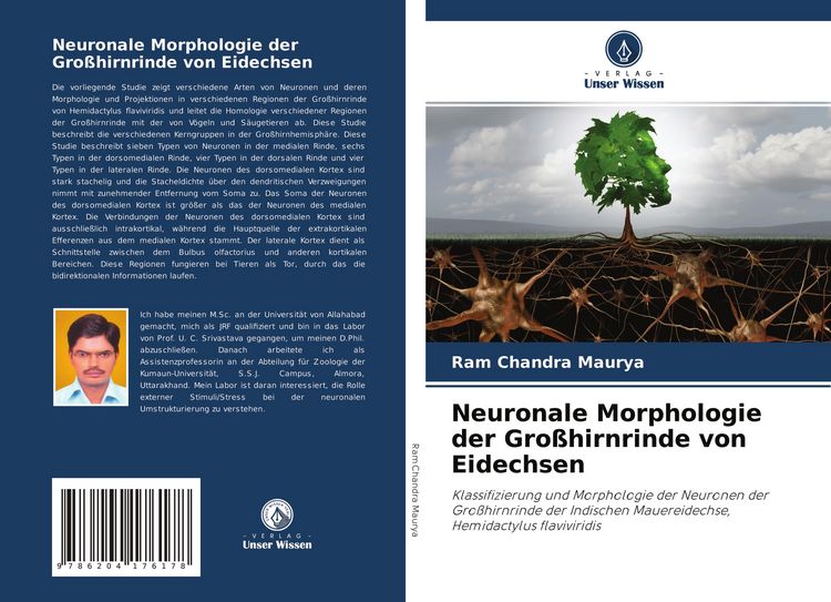 Produktbild: Neuronale Morphologie der Gro&szlig;hirnrinde von Eidechsen