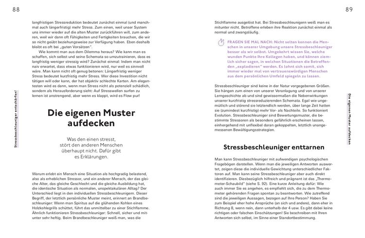 Produktbild: Stress positiv nutzen