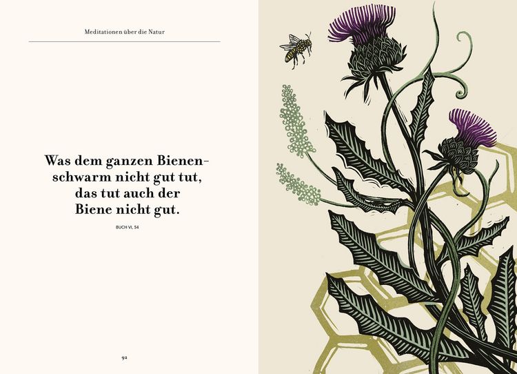 Produktbild: Wege zu sich selbst