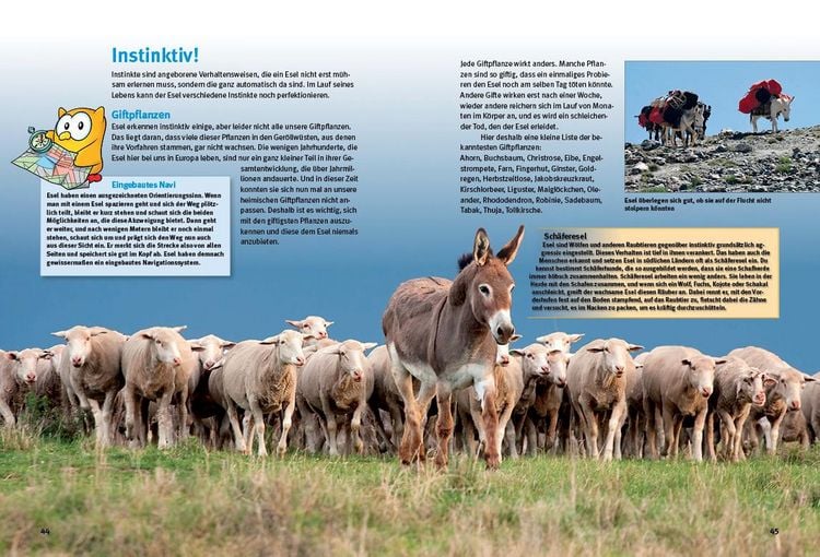 Produktbild: Entdecke die Esel