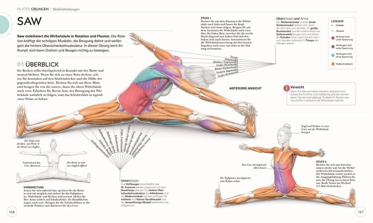 Produktbild: Pilates - Die Anatomie verstehen