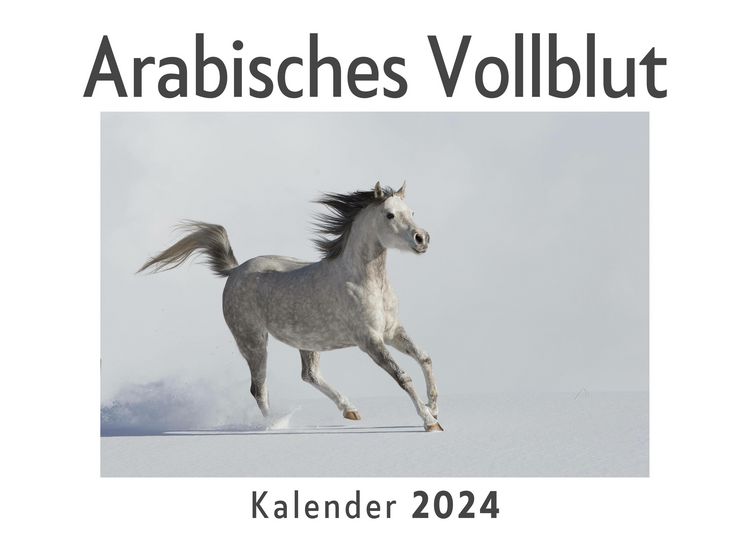 Produktbild: Arabisches Vollblut (Wandkalender 2024, Kalender DIN A4 quer, Monatskalender im Querformat mit Kalendarium, Das perfekte Geschenk)