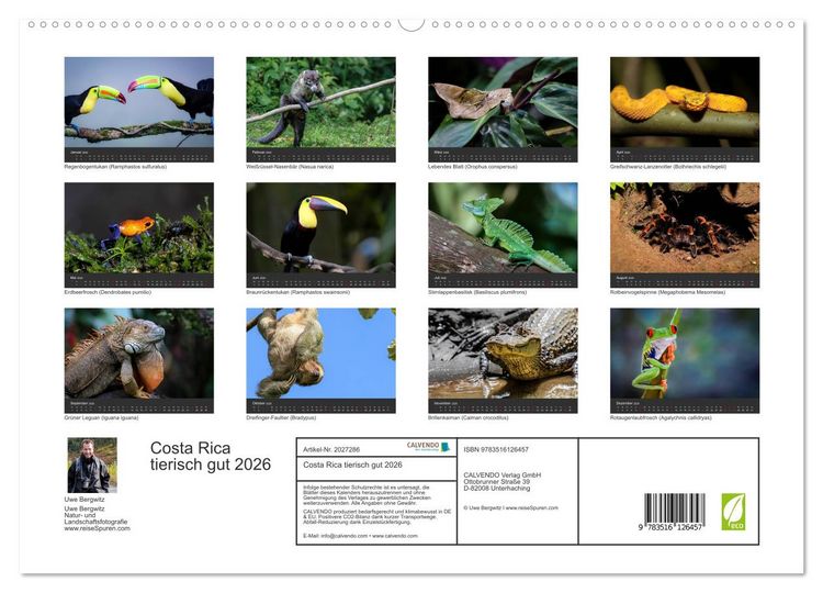Produktbild: Costa Rica tierisch gut 2026 (hochwertiger Premium Wandkalender 2026 DIN A2 quer), Kunstdruck in Hochglanz