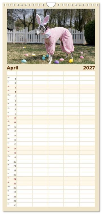 Produktbild: Familienplaner 2027 - Funny Greyhounds - Windhunde mal anders mit 5 Spalten (Wandkalender, 21 x 45 cm) CALVENDO