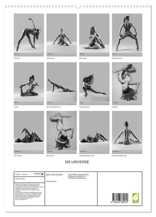 Produktbild: MS UNIVERSE (hochwertiger Premium Wandkalender 2026 DIN A2 hoch), Kunstdruck in Hochglanz