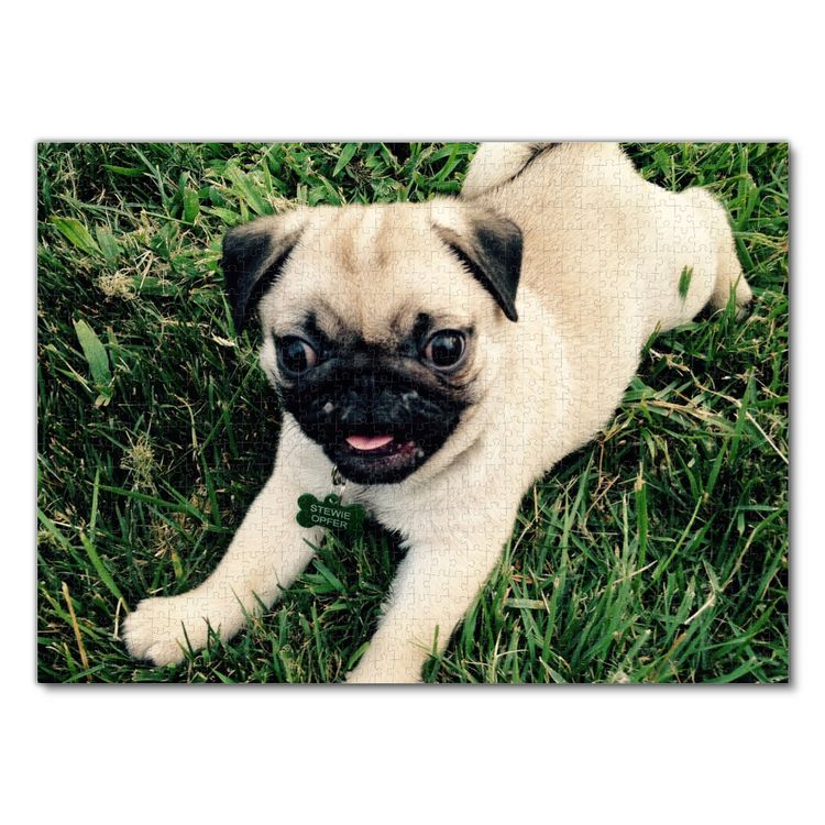Produktbild: Lais Puzzle Mops 1000 Teile