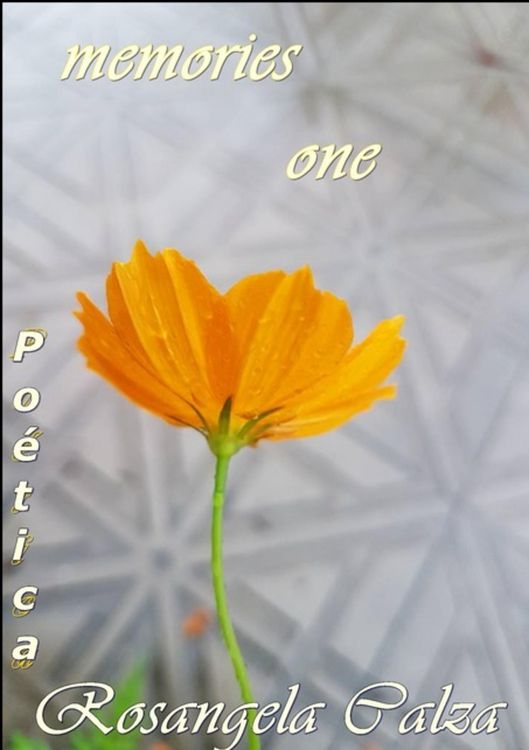 Produktbild: Memories One