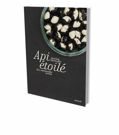 Produktbild: Gabriela Oberkofler: Api &eacute;toil&eacute; &ndash; Ein wachsendes Archiv