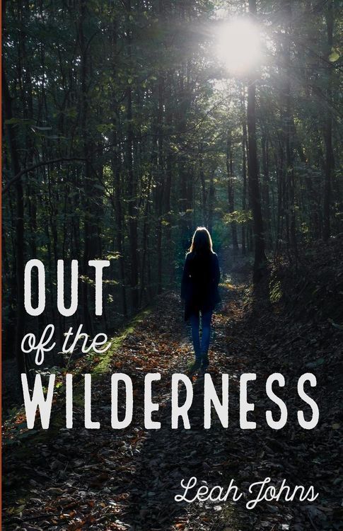 Produktbild: Out of the Wilderness