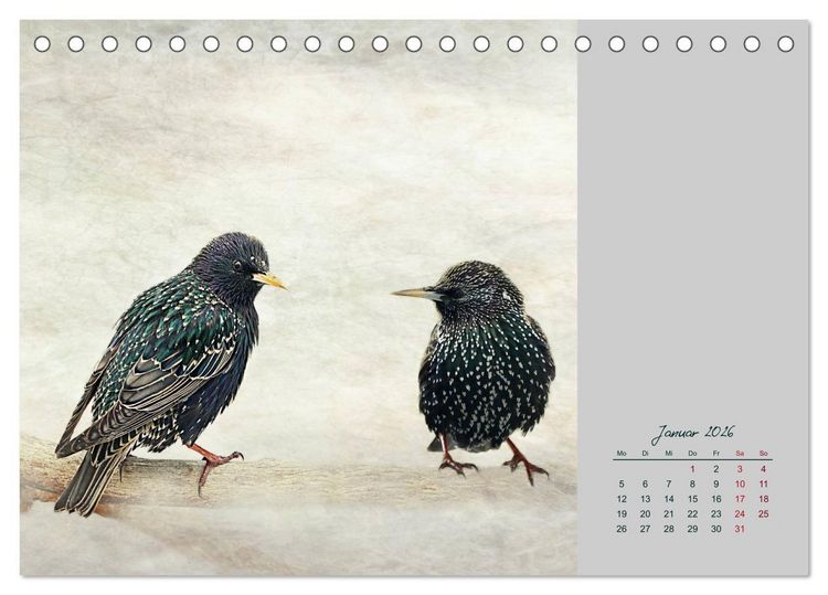 Produktbild: Kalenderspr&uuml;che (Tischkalender 2026 DIN A5 quer), CALVENDO Monatskalender