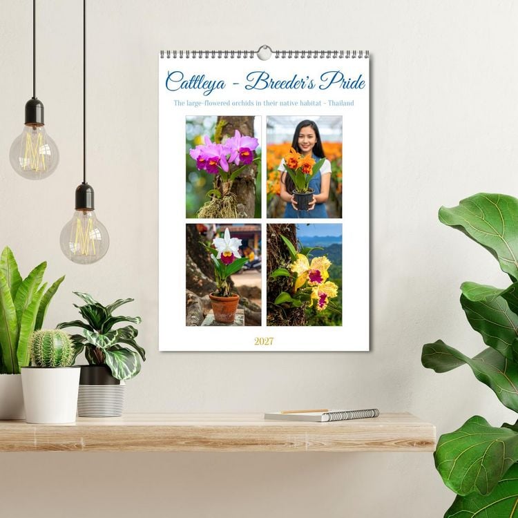 Produktbild: Cattleya - Breeder's Pride (Wall Calendar 2027 DIN A3 portrait), CALVENDO 12 Month Wall Calendar