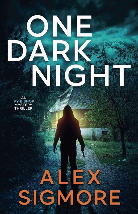 Produktbild: One Dark Night