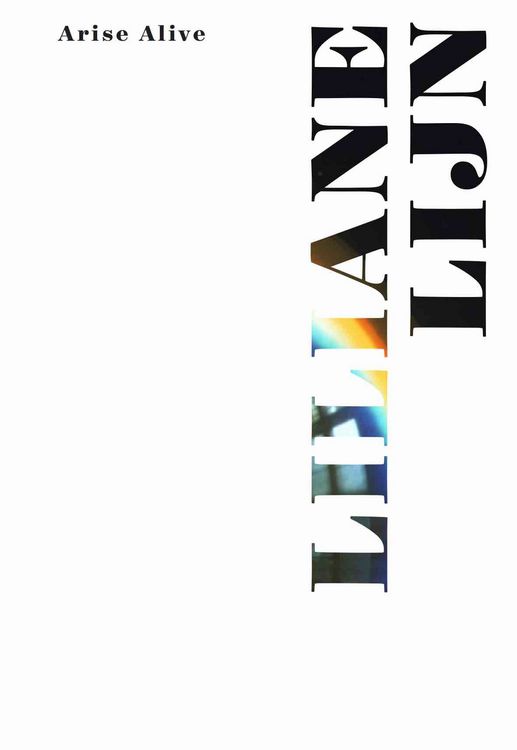 Produktbild: Liliane Lijn. Arise Alive (Deutsch)