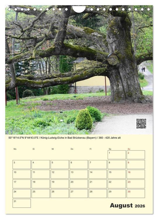Produktbild: Uralt - Mit QR-Code und GPS zu alten B&auml;umen (Wandkalender 2026 DIN A4 hoch), CALVENDO Monatskalender