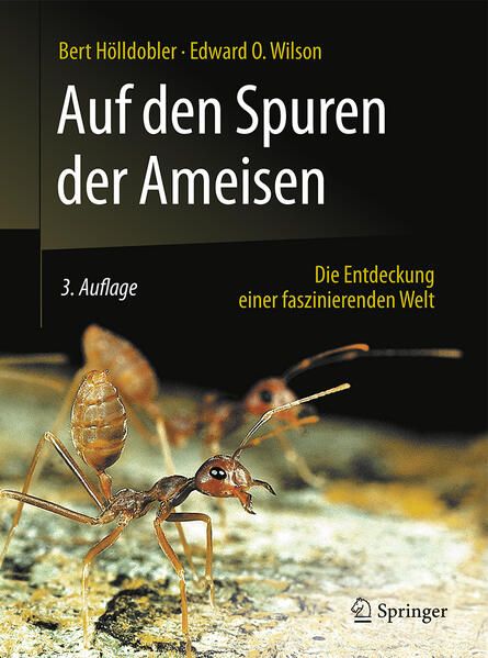 Produktbild: Auf den Spuren der Ameisen