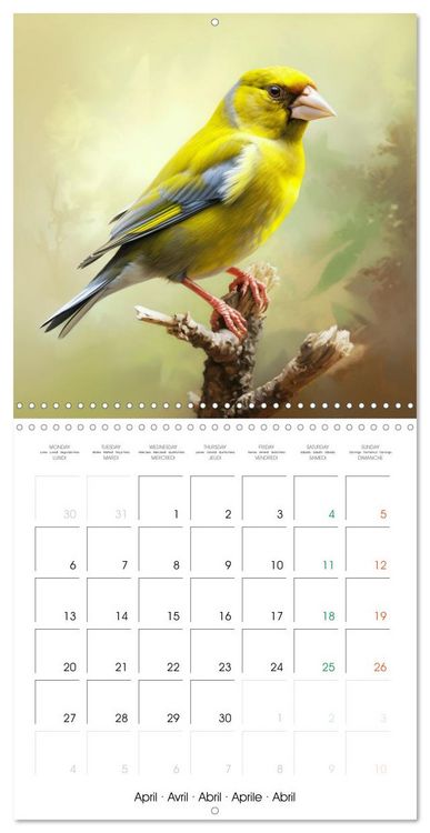 Produktbild: Ailes en sc&egrave;ne (Calendrier mural carr&eacute; 2026 30x30 cm) Calendrier double avec une page pour vos prises de notes