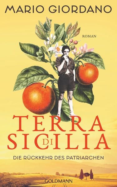 Produktbild: Terra di Sicilia. Die R&uuml;ckkehr des Patriarchen