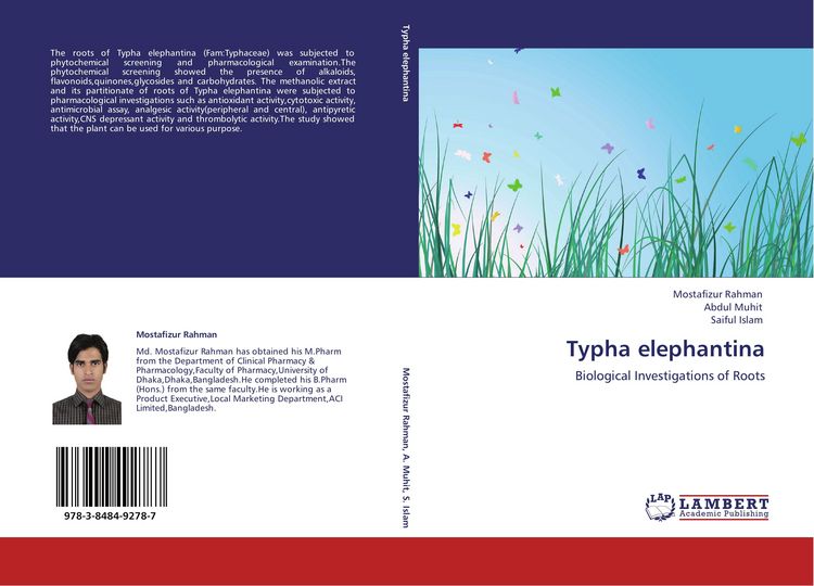 Produktbild: Typha elephantina