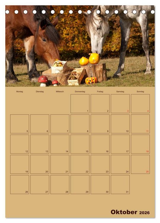 Produktbild: Pferde Gute Freunde (Tischkalender 2026 DIN A5 hoch), CALVENDO Monatskalender